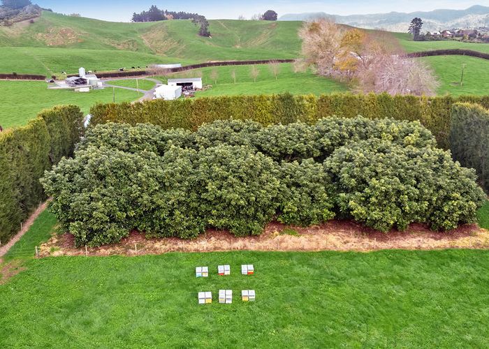  at 0 Pukekauri Road, Waikino, Waihi