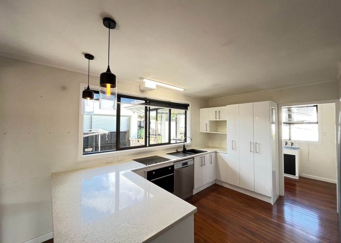  at 17 Hinau Street, New Lynn, Waitakere City, Auckland