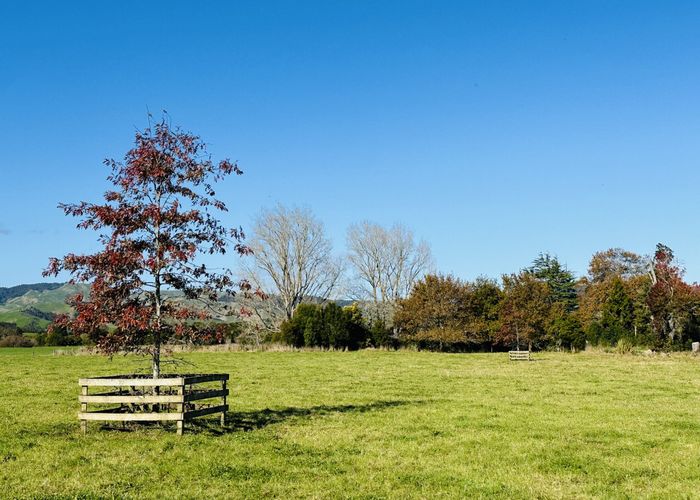 at 206 Okaeria Road, Te Kauwhata, Waikato, Waikato