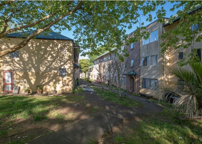  at 41/125 Carrington Road, Mount Albert, Auckland