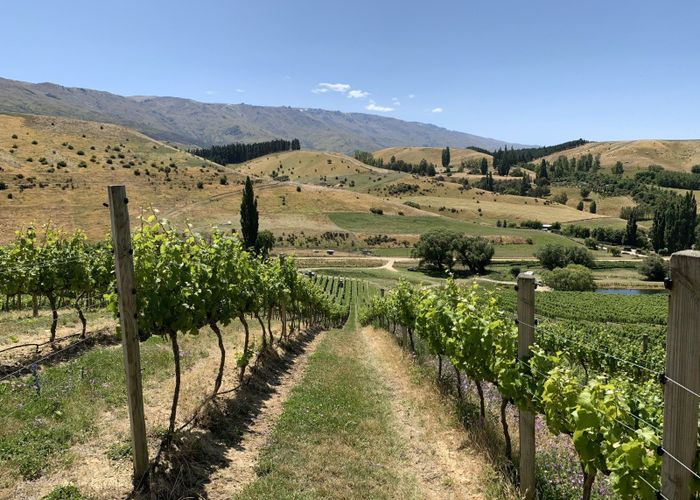  at 29 McFelin Road, Cromwell, Central Otago, Otago