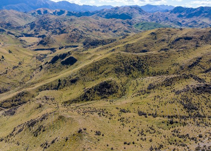  at Masons Flat Forest, Hawarden, Hurunui, Canterbury