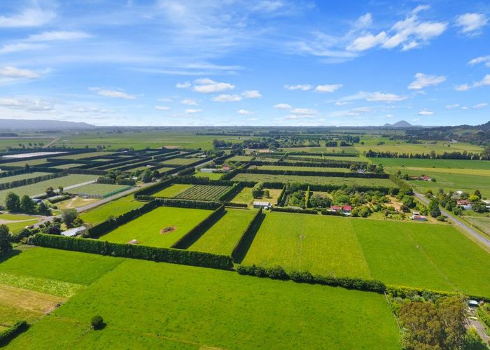  at 81 Macdonald Road, Te Teko, Whakatane