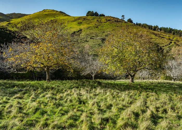  at 129 Bells Road, Akaroa, Banks Peninsula, Canterbury