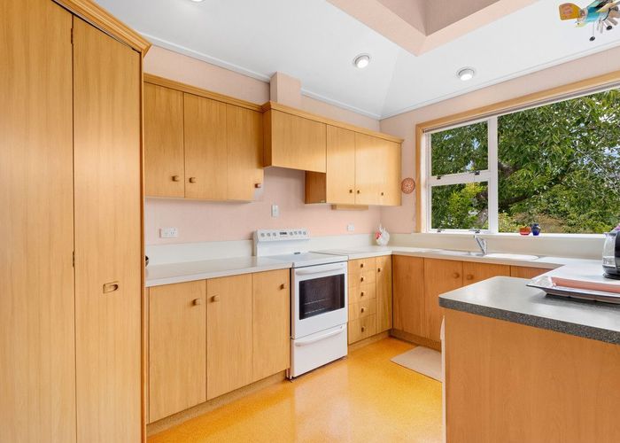  at 17 Brownville Crescent, Maori Hill, Dunedin