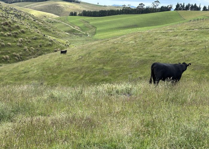  at 148 Tapui Homestead Road, Oamaru, Waitaki, Otago