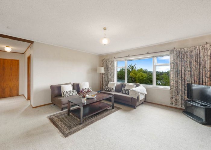  at 107 Whitney Street, New Windsor, Auckland City, Auckland