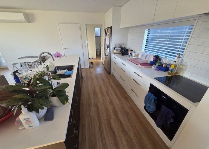  at 4d Mountfort Street, Spreydon, Christchurch City, Canterbury