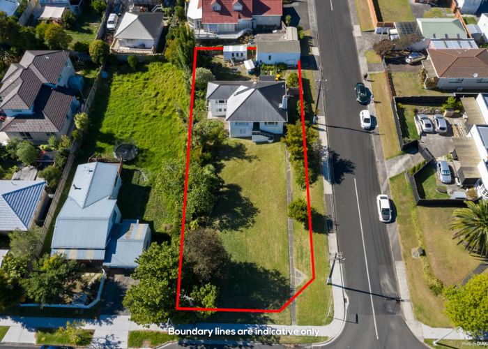  at 20 Newington Road, Henderson, Auckland