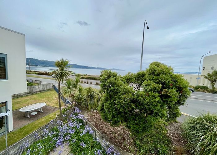  at 167 The Esplanade, Petone, Lower Hutt, Wellington