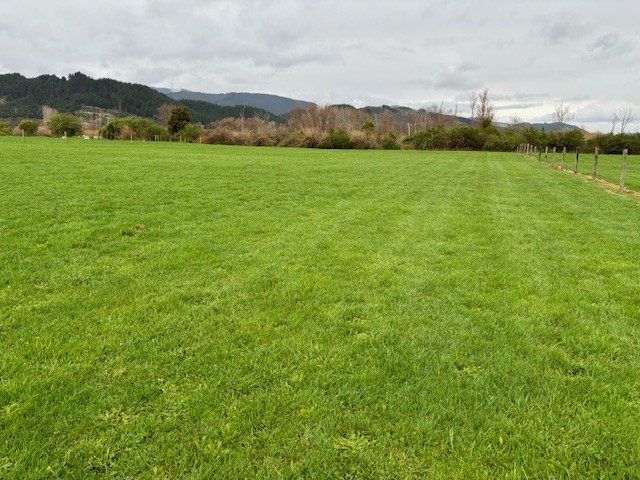 at 17 Riverside Drive, Ohau, Horowhenua, Manawatu / Whanganui