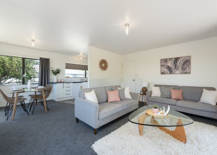 at 8A Solomon Street, Brookfield, Tauranga