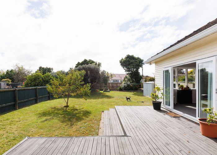  at 13 Webb Street, Terrace End, Palmerston North