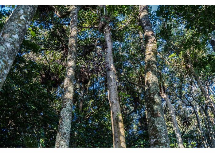  at Lot 1 Arcadia Road, Paparoa, Kaipara, Northland