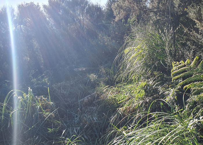  at 44 John Street, Stokes Valley, Lower Hutt, Wellington