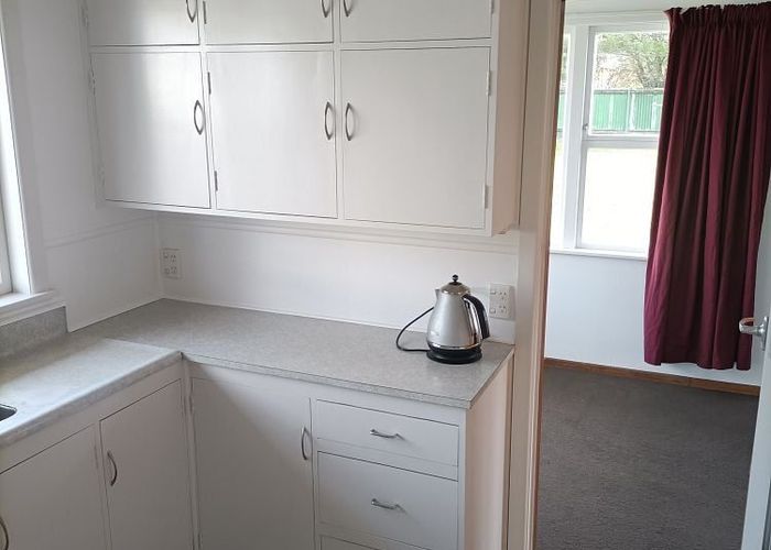  at 19 Steele Road, Forest Lake, Hamilton, Waikato