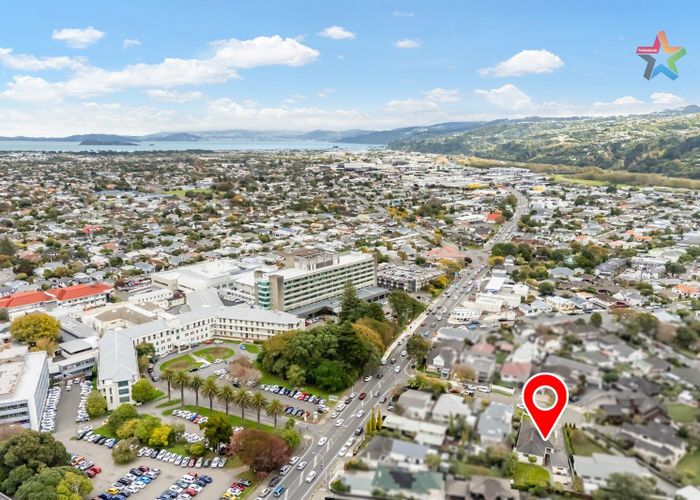  at 9 Harley Grove, Boulcott, Lower Hutt