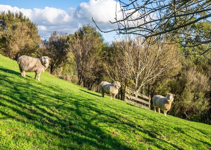  at 1123 Akatarawa Road, Akatarawa, Upper Hutt