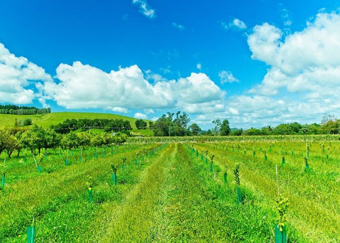  at 134 Kaimoe Road, Gisborne