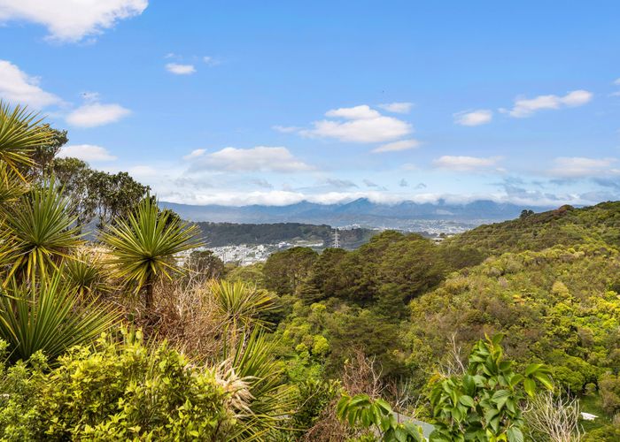  at 1 Koromiko Road, Aro Valley, Wellington, Wellington