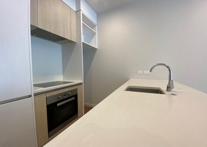  at 316/14 Edgerley Avenue, Epsom, Auckland City, Auckland