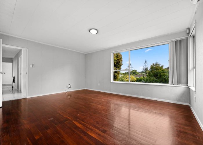  at 17 Fairdale Place, Birkdale, North Shore City, Auckland