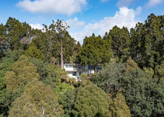  at 24 Tainui Road, Titirangi, Auckland