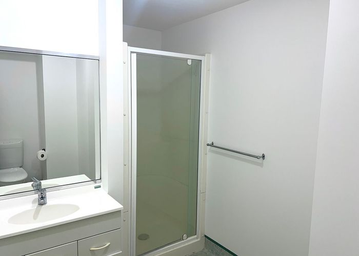  at 13 Palm Grove, Berhampore, Wellington, Wellington