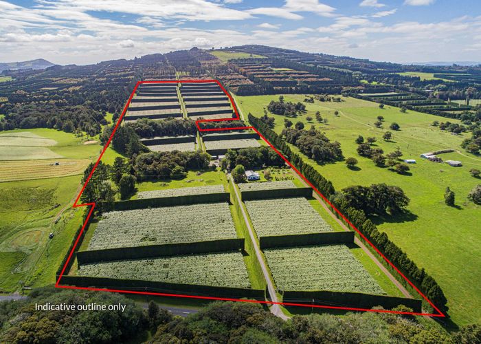 For sale 311321 Kerehunga Road, Maungatapere, Whangarei, Northland