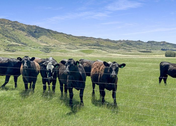  at 386 Agnew Road, Oturehua, Central Otago, Otago