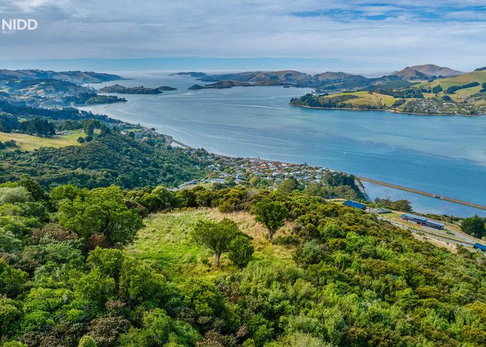  at 66 Kakapo Street, Saint Leonards, Dunedin, Otago
