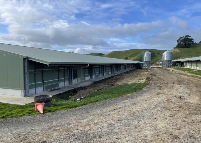  at 60 Paparamu Road, Paparamu, Tirau, South Waikato, Waikato