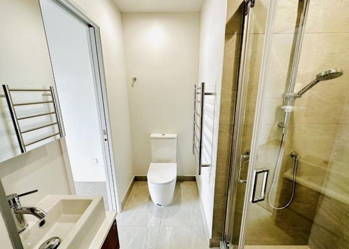  at 117/19 Lyon Avenue, Mount Albert, Auckland City, Auckland