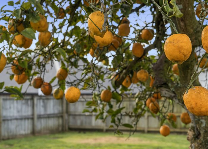  at 34A Whitaker Street, Kihikihi, Waipa, Waikato