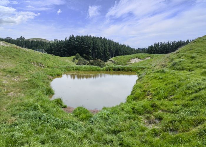  at 539 Flag Range Road, Sherenden, Hastings, Hawke's Bay