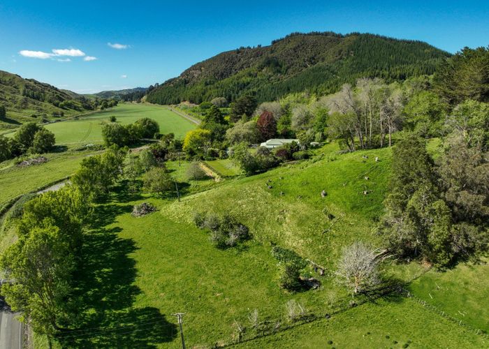  at 1405 Wharekopae Road, Ngatapa, Gisborne, Gisborne