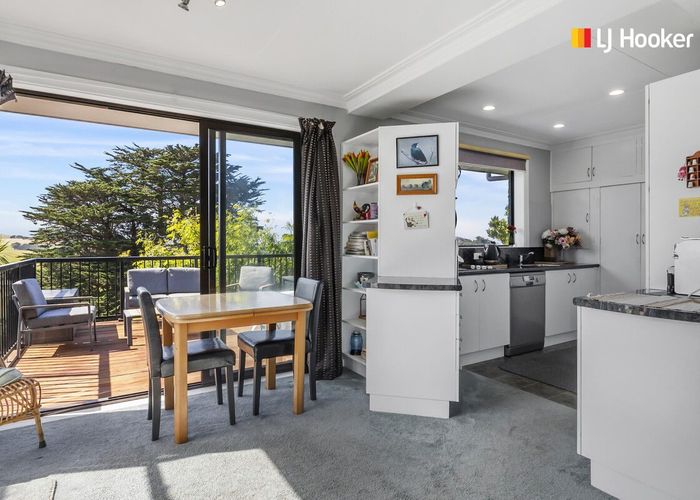  at 124 Highcliff Road, Shiel Hill, Dunedin