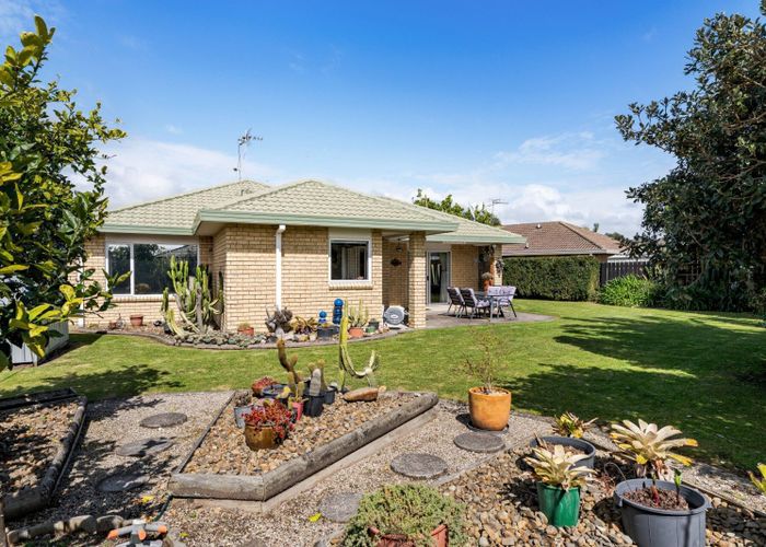  at 17 Appaloosa Place, Papamoa, Tauranga, Bay Of Plenty