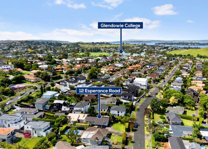  at 12 Esperance Road, Glendowie, Auckland City, Auckland