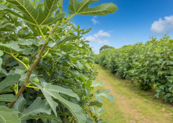  at 32 Ohinewai Road, Ohinewai, Waikato, Waikato