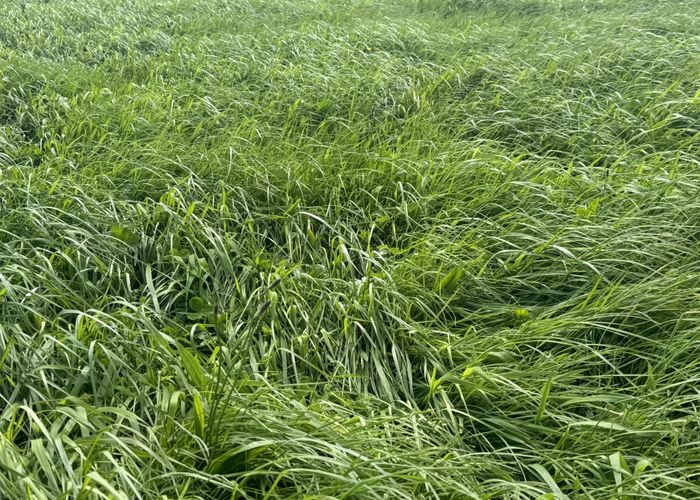  at 4782 South Road, Opunake, South Taranaki, Taranaki