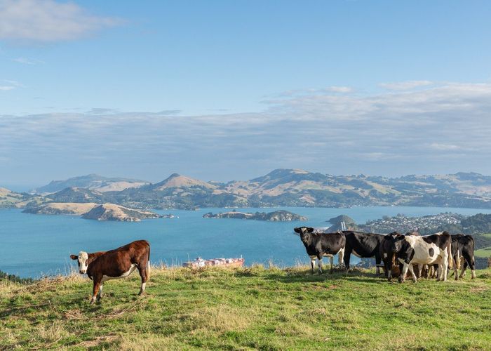  at 2 Heyward Point Road, Heyward Point, Dunedin, Otago