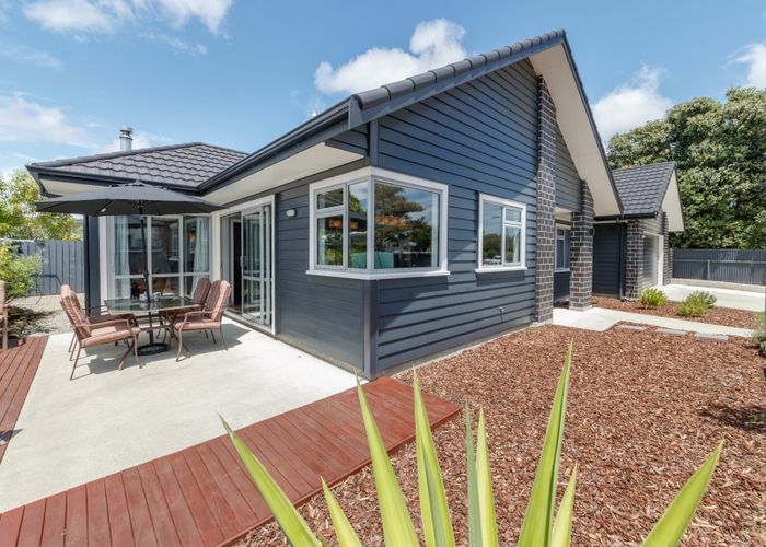  at 66 Newcastle Street, Terrace End, Palmerston North