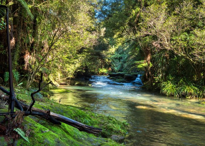  at 101 Ross Road, Tauranga
