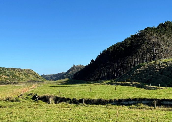  at 17 Kai Iwi Lakes Road, Dargaville, Kaipara, Northland