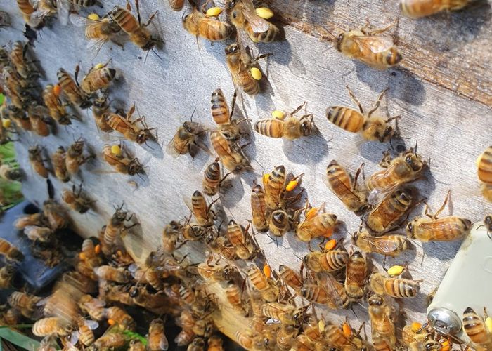  at 58 Moroa Road, Martinborough, South Wairarapa, Wellington