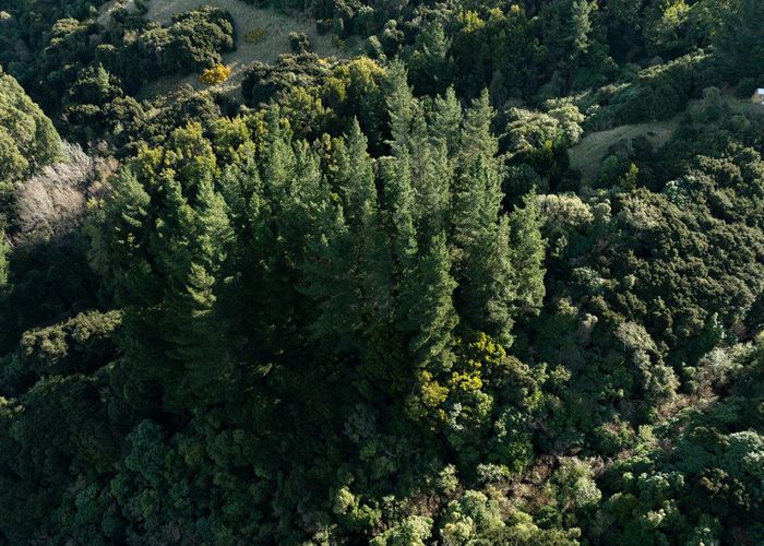  at 110 Bachelors Road, Little River, Banks Peninsula, Canterbury