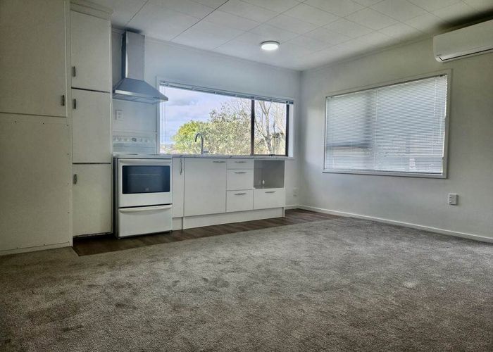  at 24A Dallas Place, New Windsor, Auckland City, Auckland