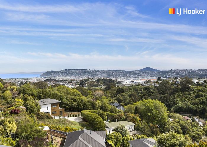  at 3A Brugh Place, Waverley, Dunedin