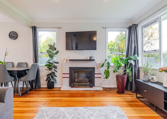  at 4 Eton Place, Terrace End, Palmerston North, Manawatu / Whanganui